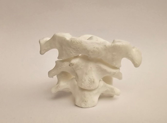 Impresión 3D del modelo